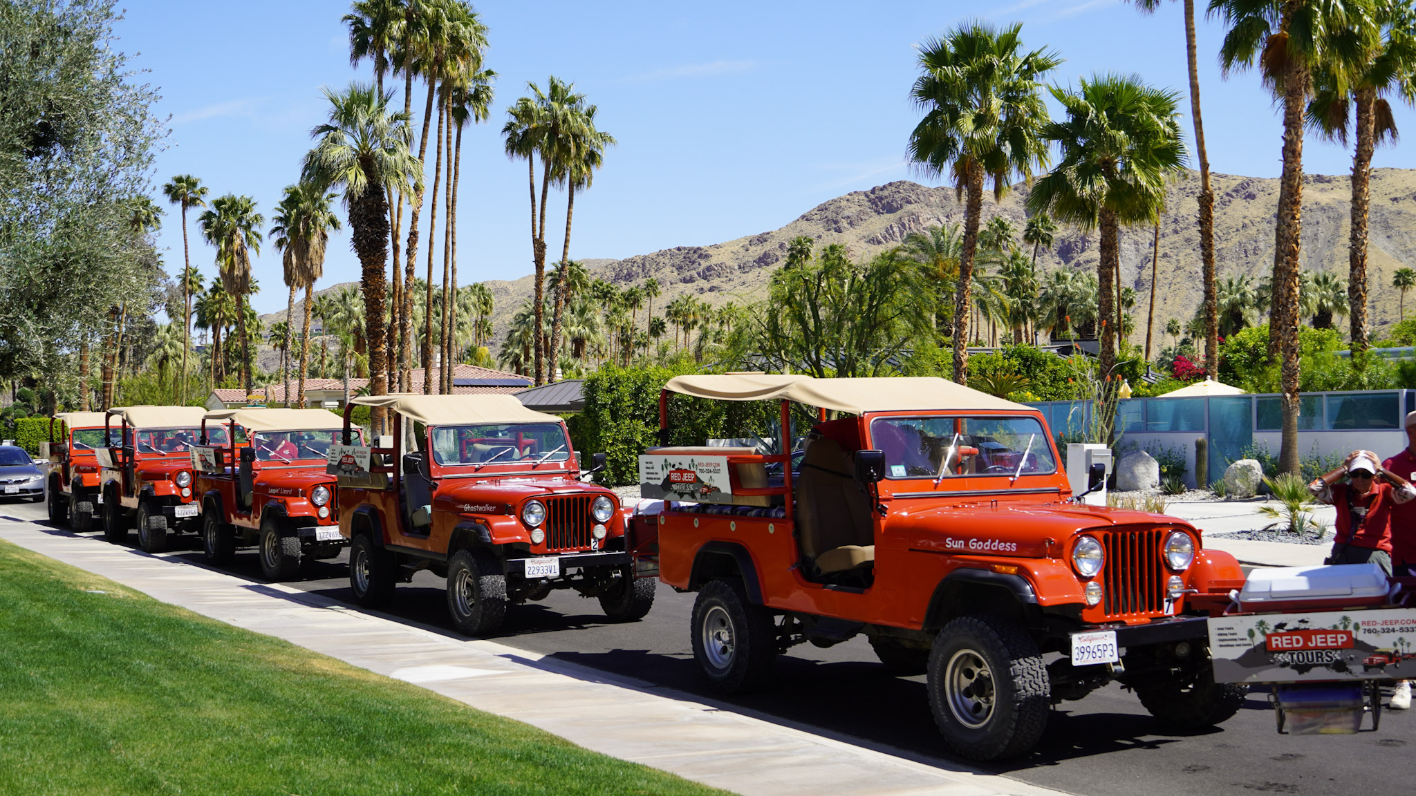 Jeeps in a Line