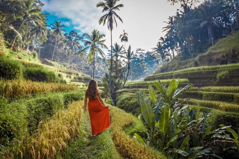 Back of woman wearing a red sundress in tropical setting amongst green plans and palm trees
