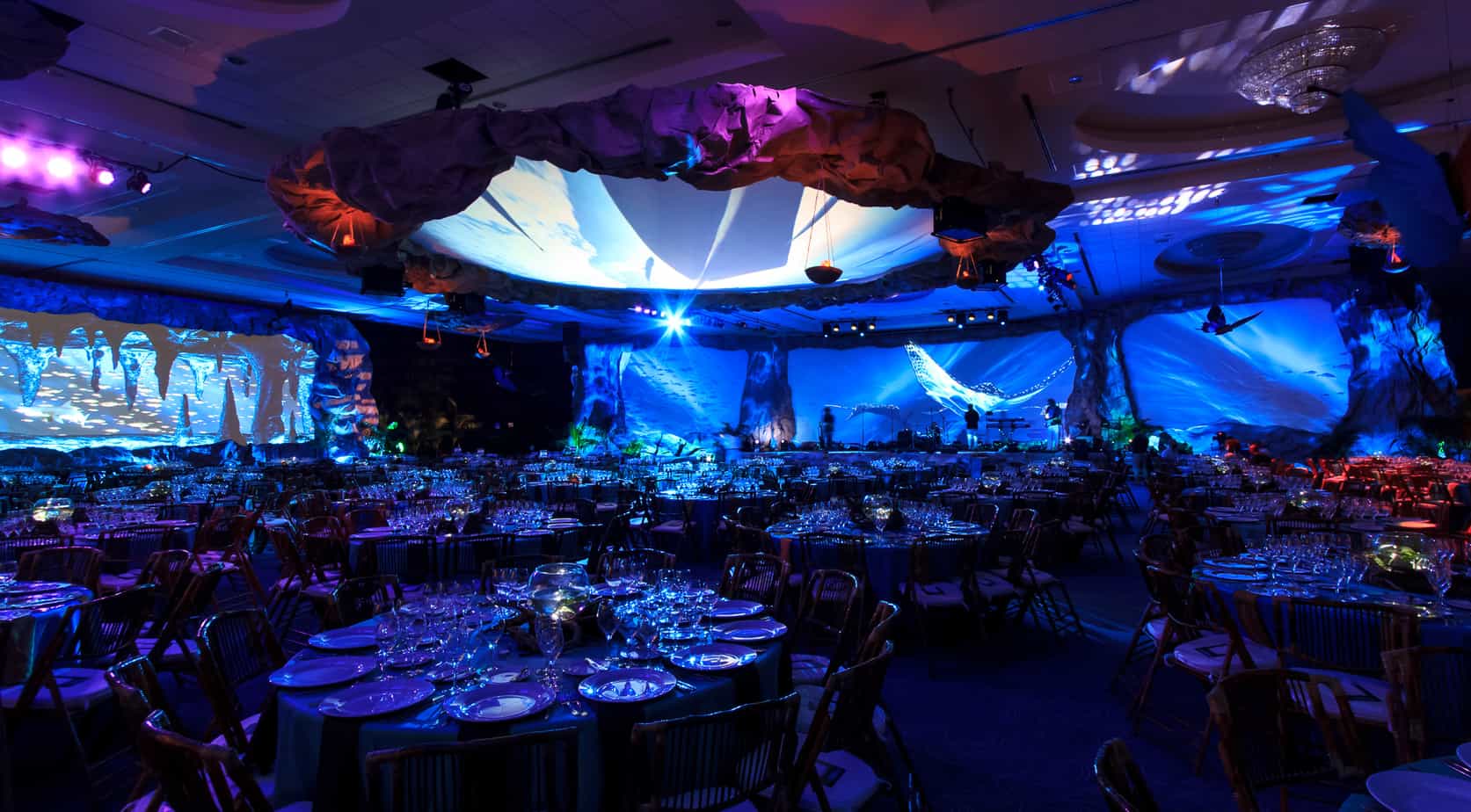 From Ballroom to Cenote
