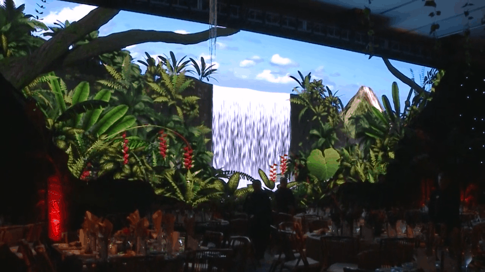 Amazing Rainforest Transformation