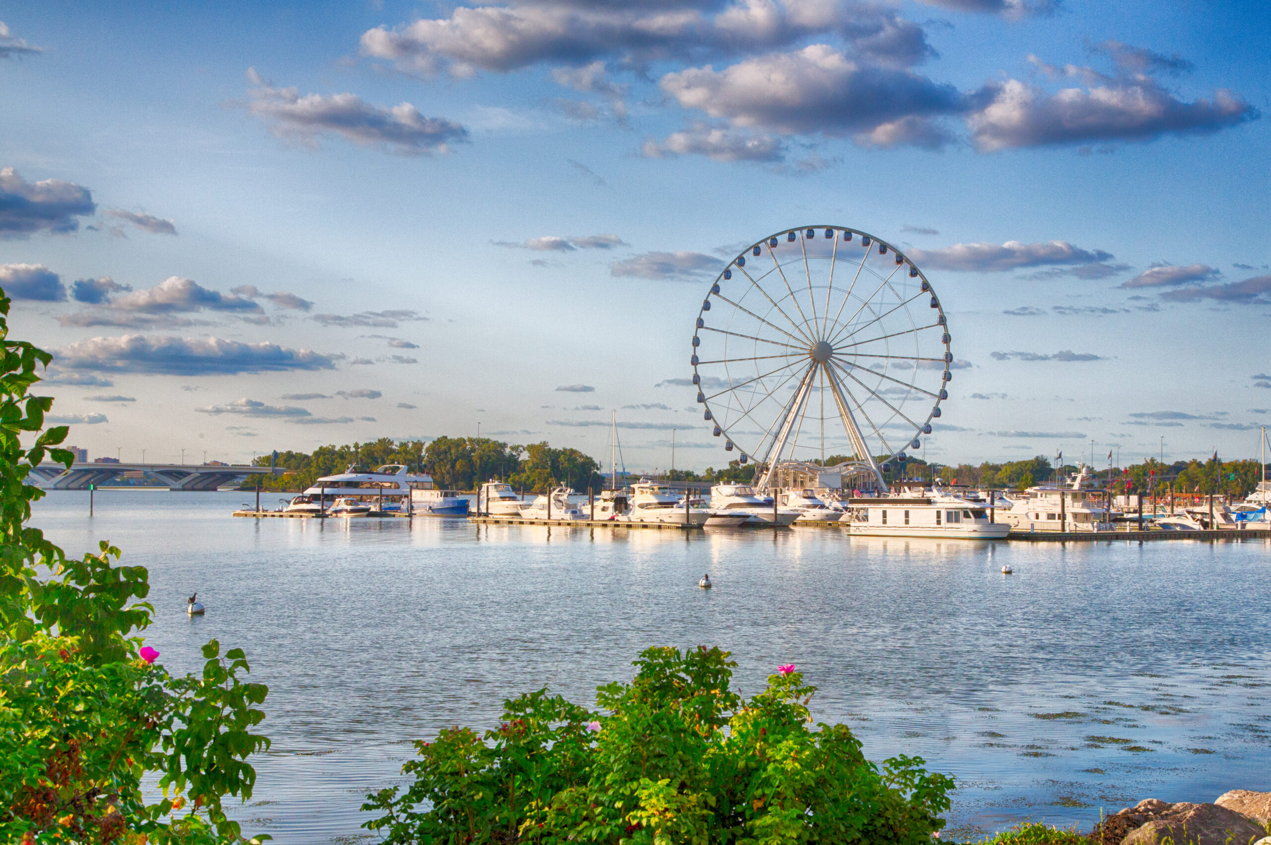 Boats docked on the national waterfront sit in front of the pier and ferris wheeel in late summer.